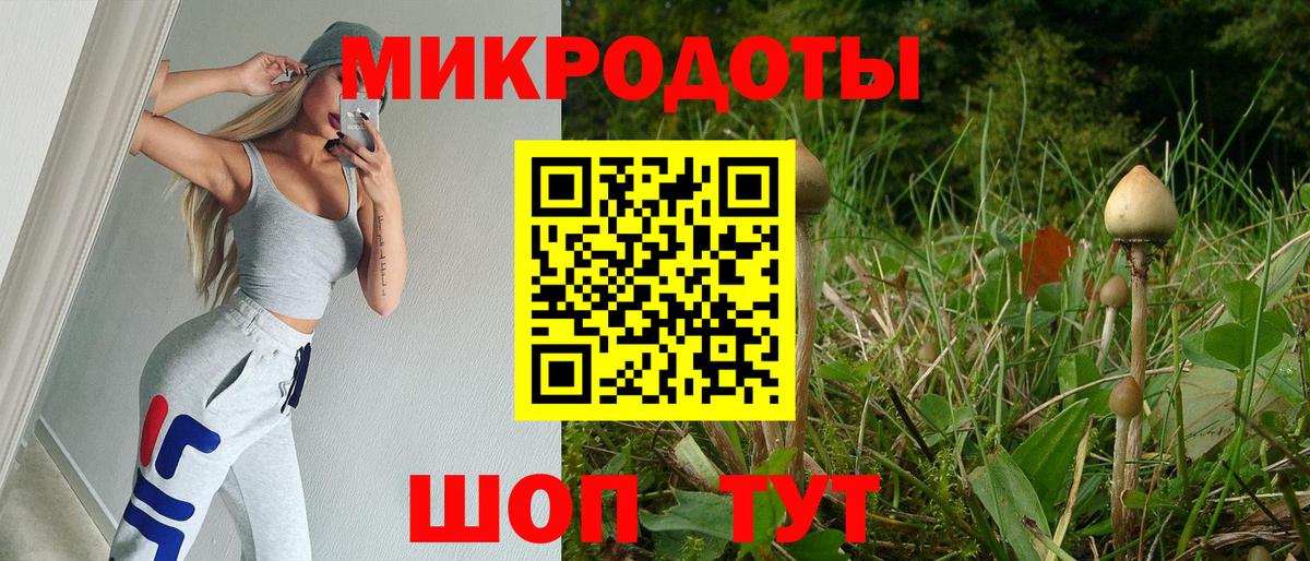 Екатеринбург  Псилоцибиновые грибы MAGIC MUSHROOMS  Вход с VPN  Галлюциногенные грибы GOLDEN TEACHER 