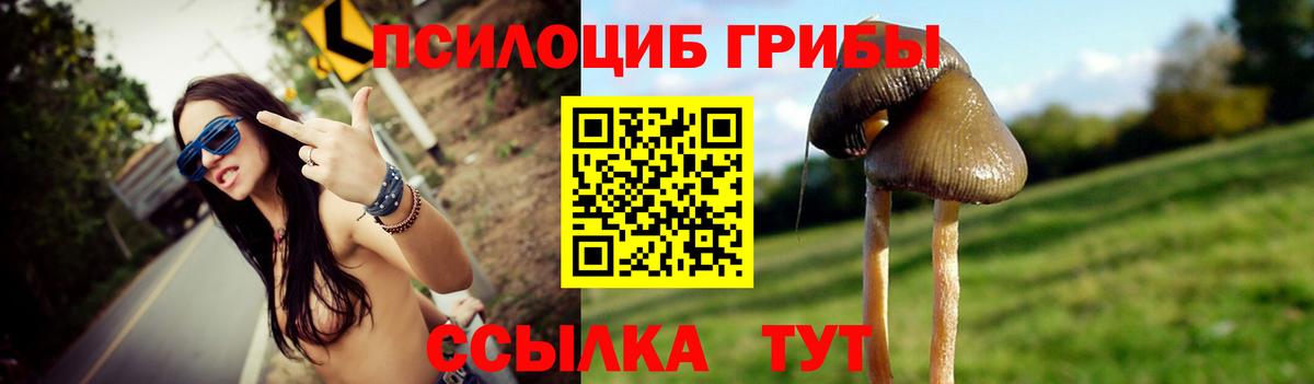 Псилоцибиновые грибы Cubensis Екатеринбург